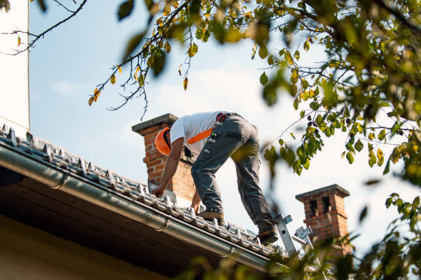 Best Roof Gutter Cleaning  in Newk, AR