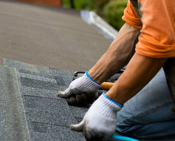 Best Storm Damage Roof Repair  in Newk, AR